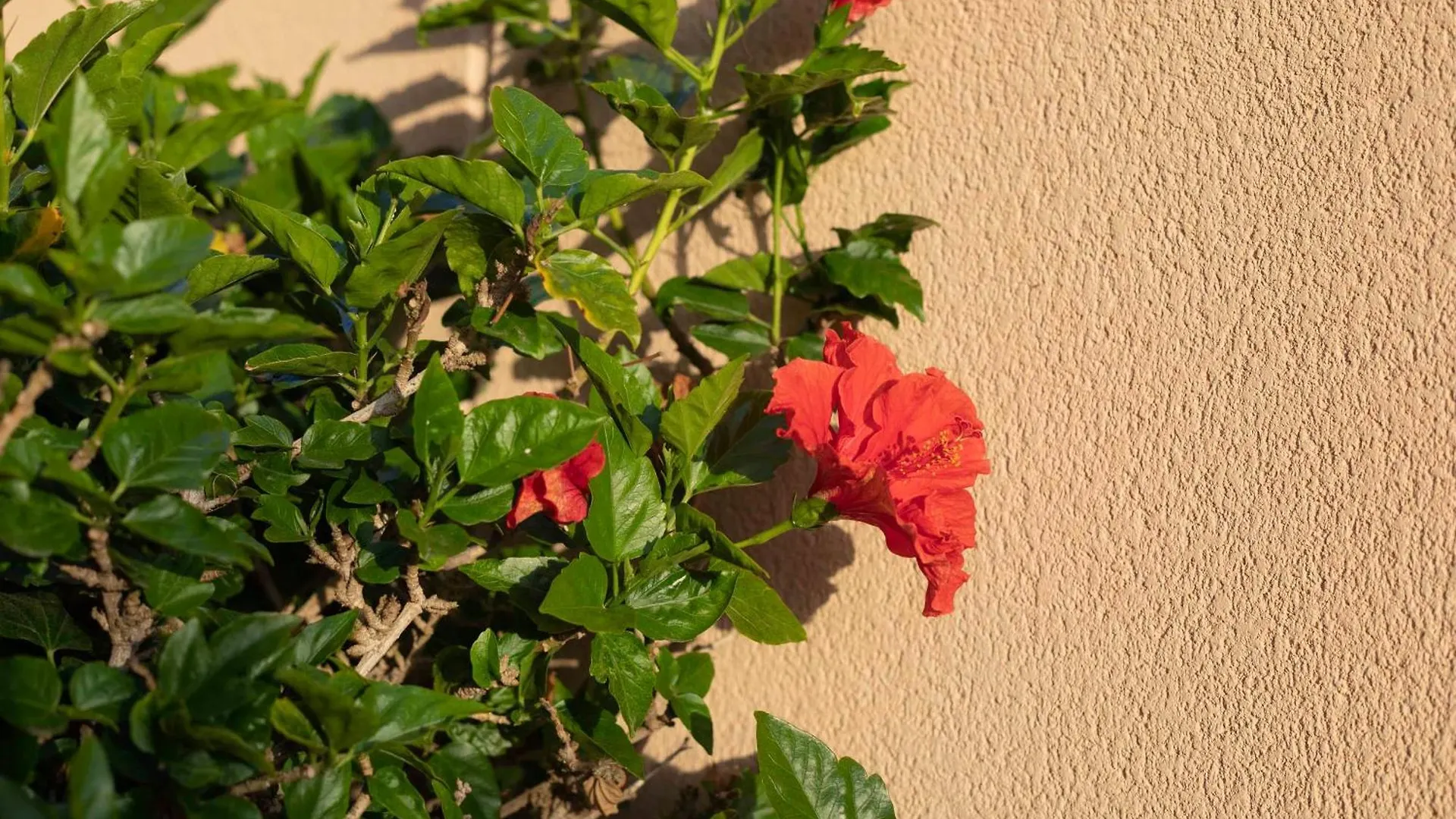 Vila My Island Escape - Sea Views - Private Pool, Sauna Puerto de Santiago